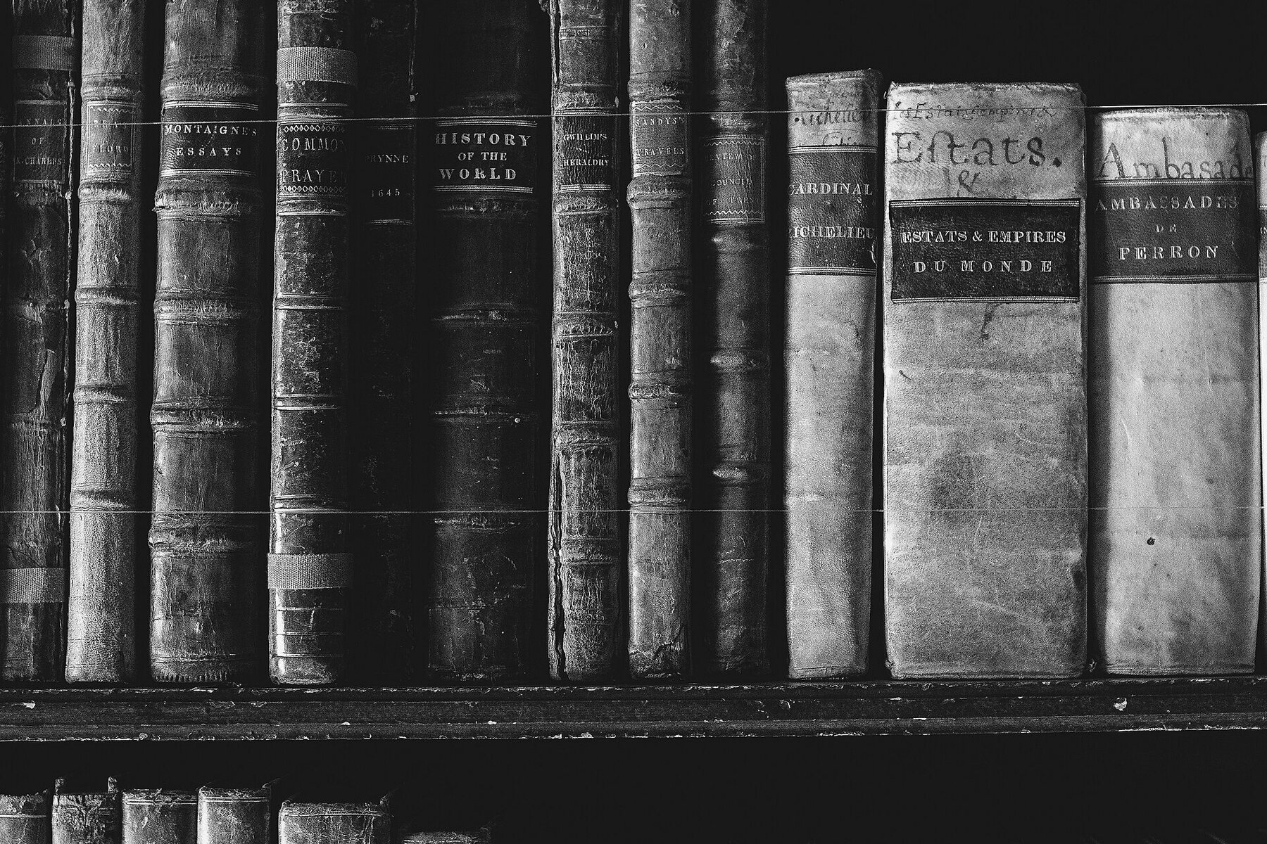 Rayonnage d’encyclopédies et de dictionnaires
